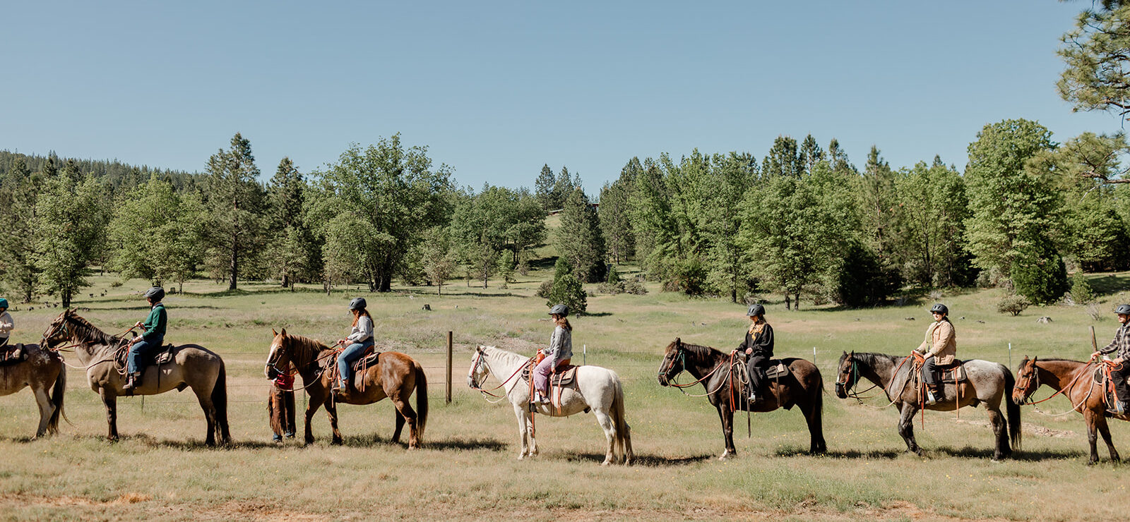 Horseback Tours Near Yosemite