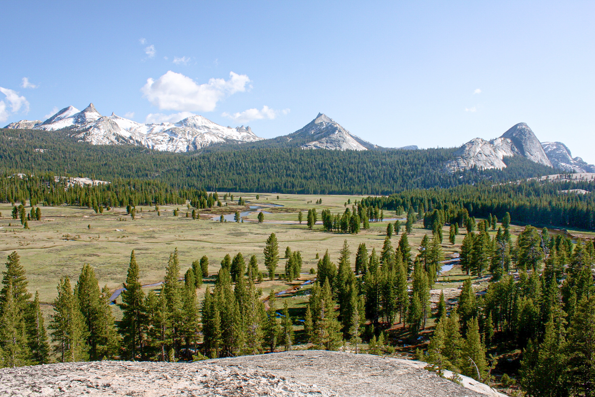 Mt. Dana Naturalist Hike