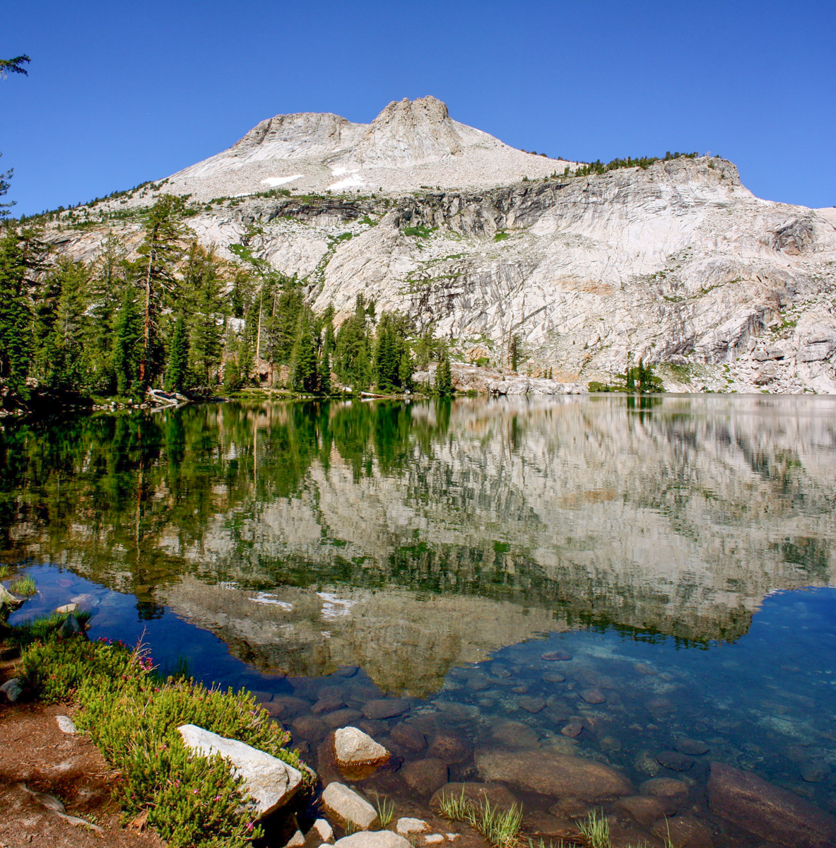 May Lake & Mount Hoffmann Naturalist Hike