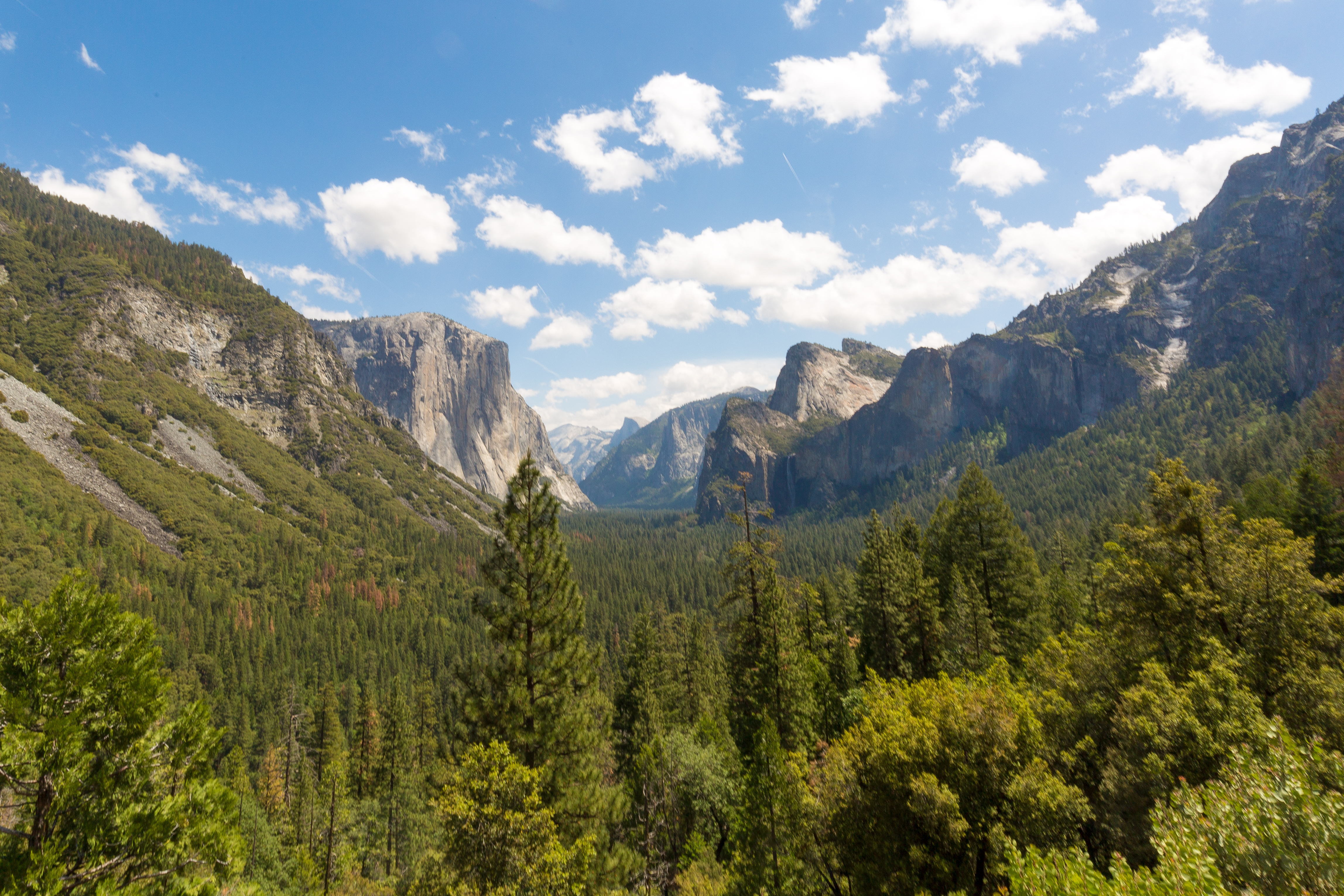 Range of Light Yosemite Valley Tour