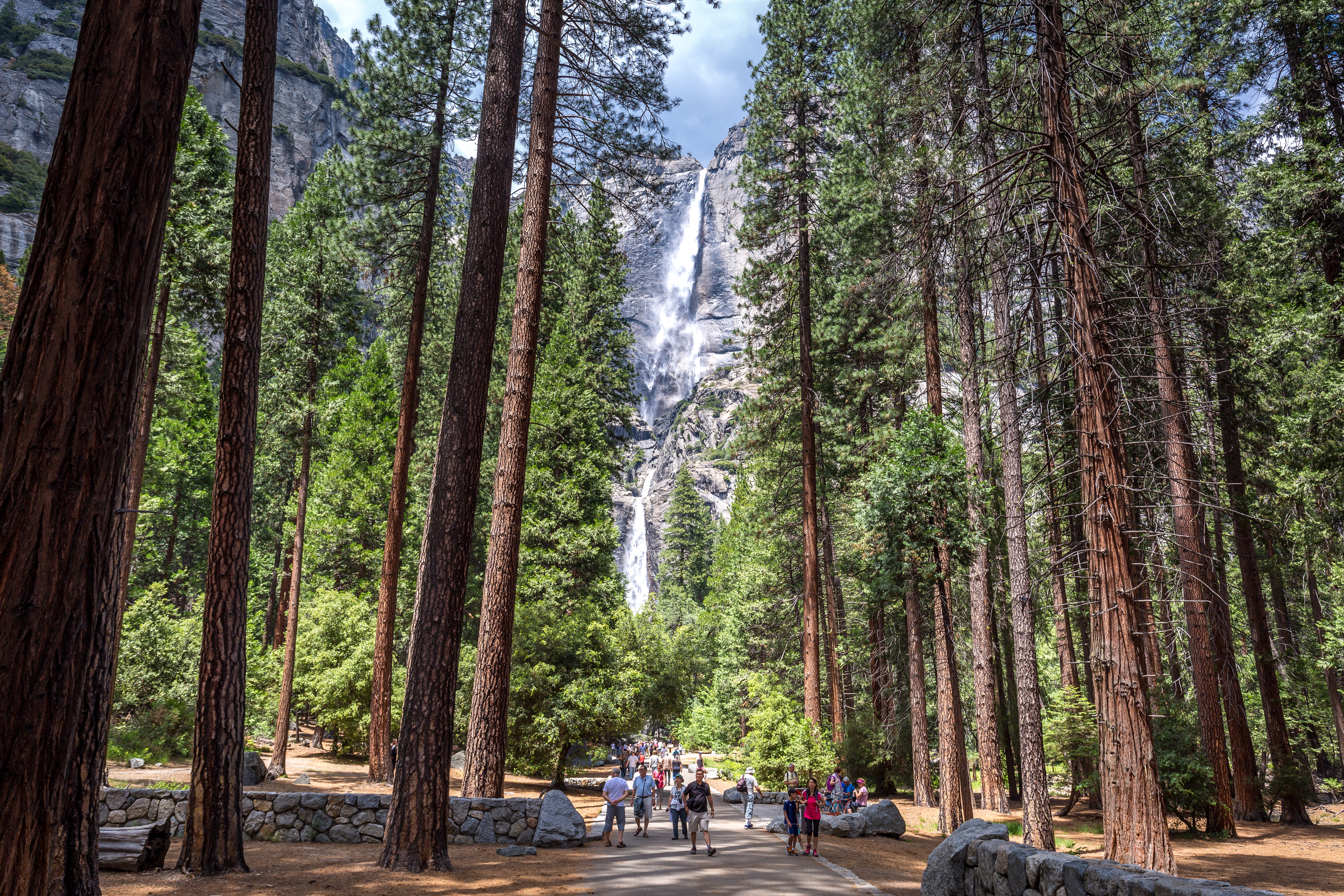 Private Yosemite Tours